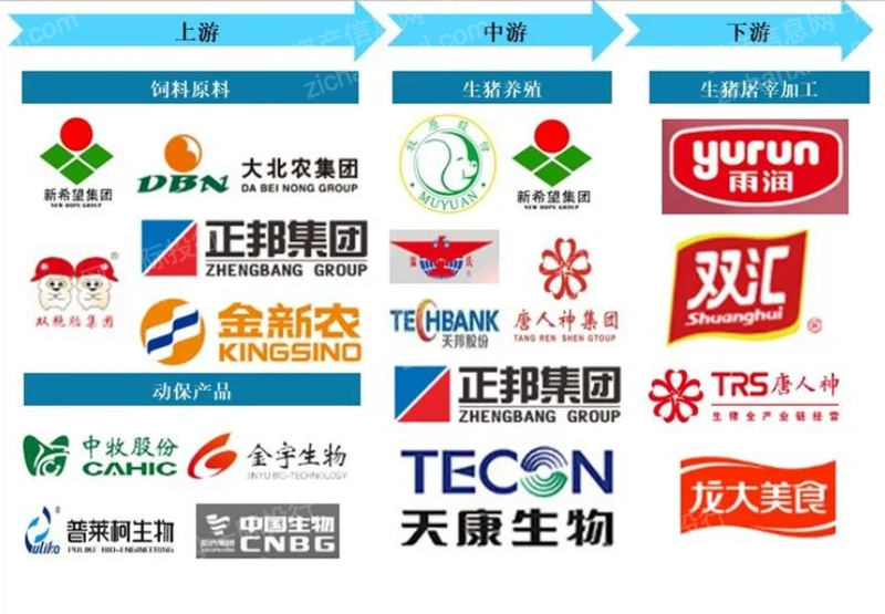 尊龙凯时人生就是搏 -- 首页官网